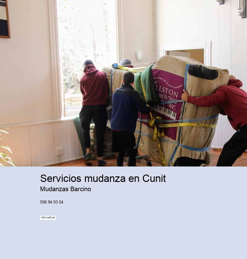 Servicios mudanza en Cunit 