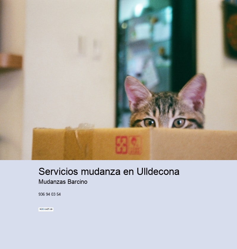 Servicios mudanza en Ulldecona 