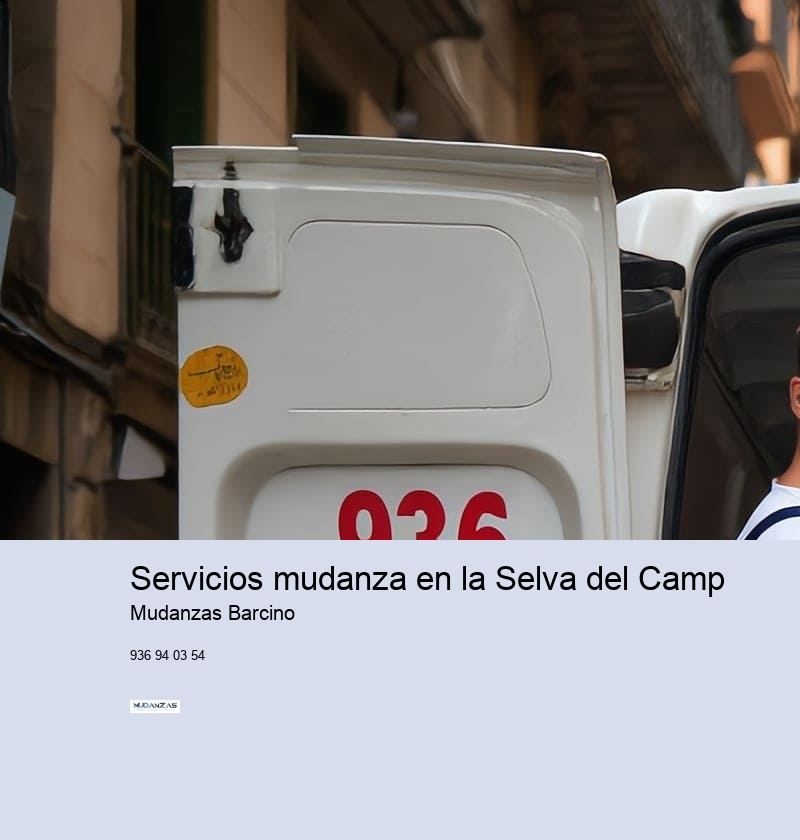 Servicios mudanza en la Selva del Camp 