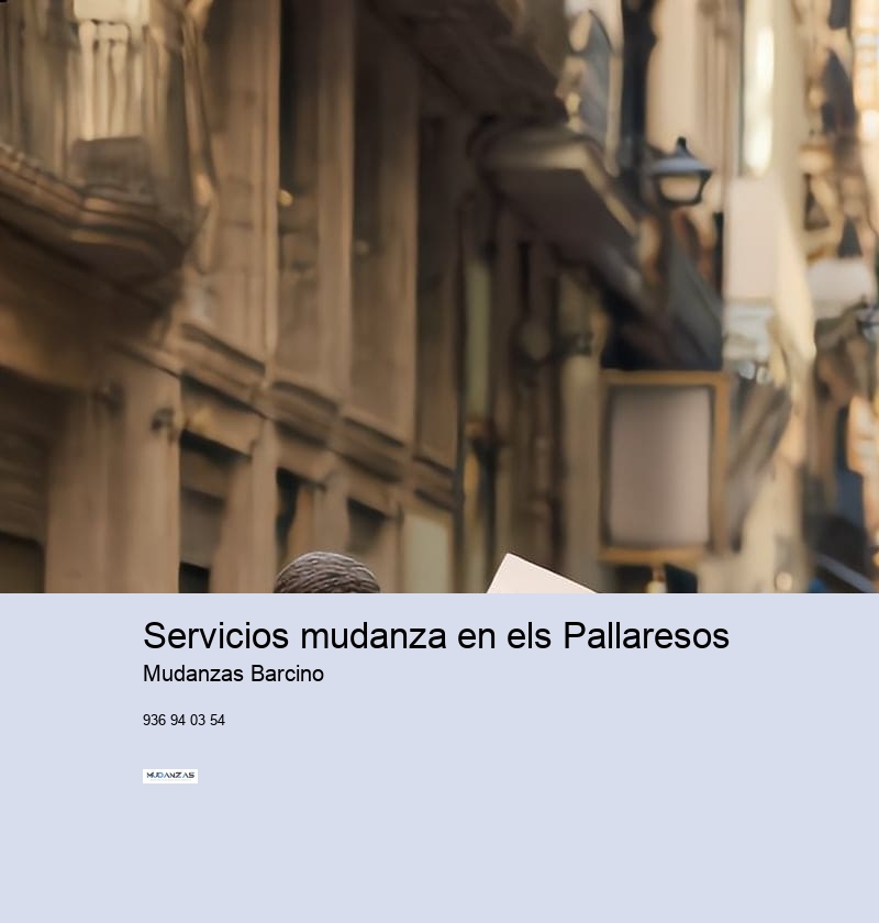 Servicios mudanza en els Pallaresos 