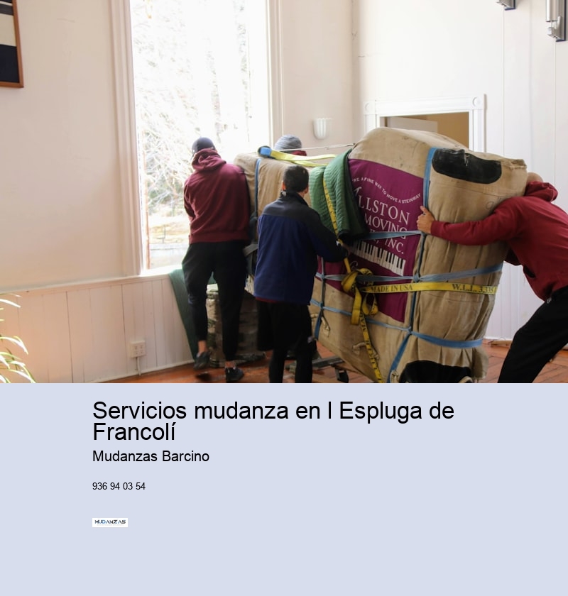 Servicios mudanza en l Espluga de Francolí 