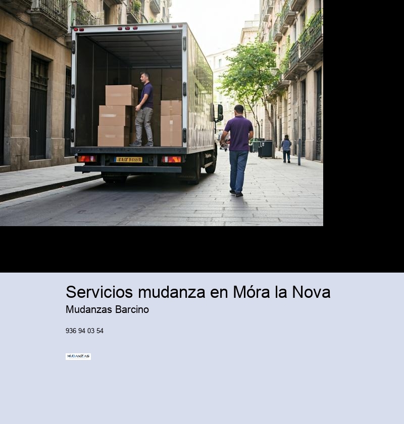 Servicios mudanza en Móra la Nova 