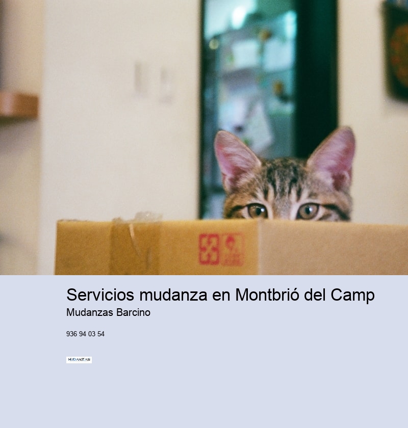 Servicios mudanza en Montbrió del Camp 