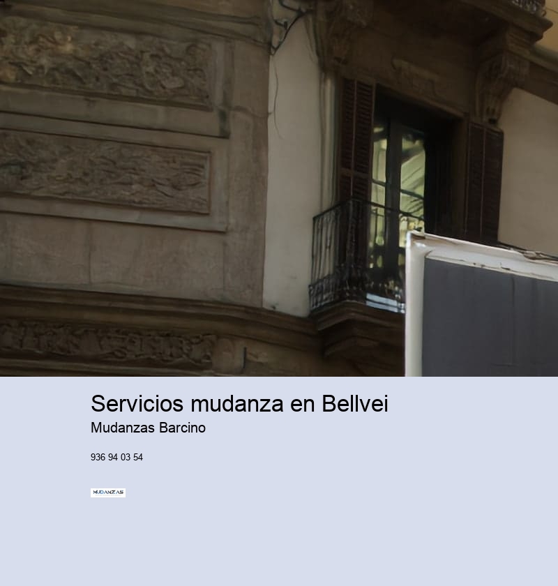 Servicios mudanza en Bellvei 