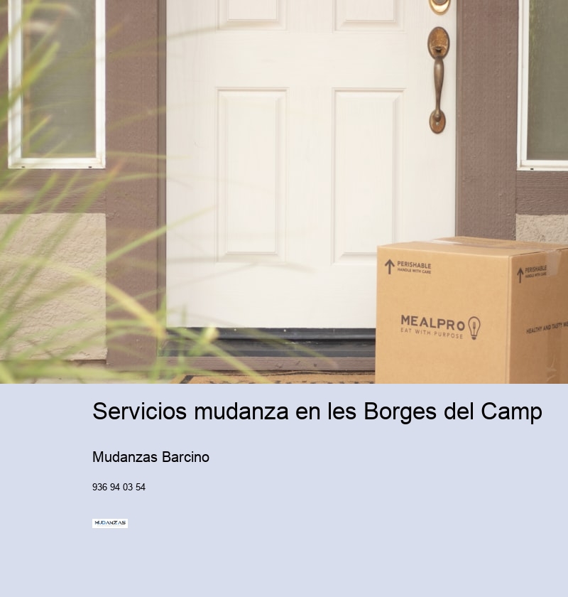 Servicios mudanza en les Borges del Camp 