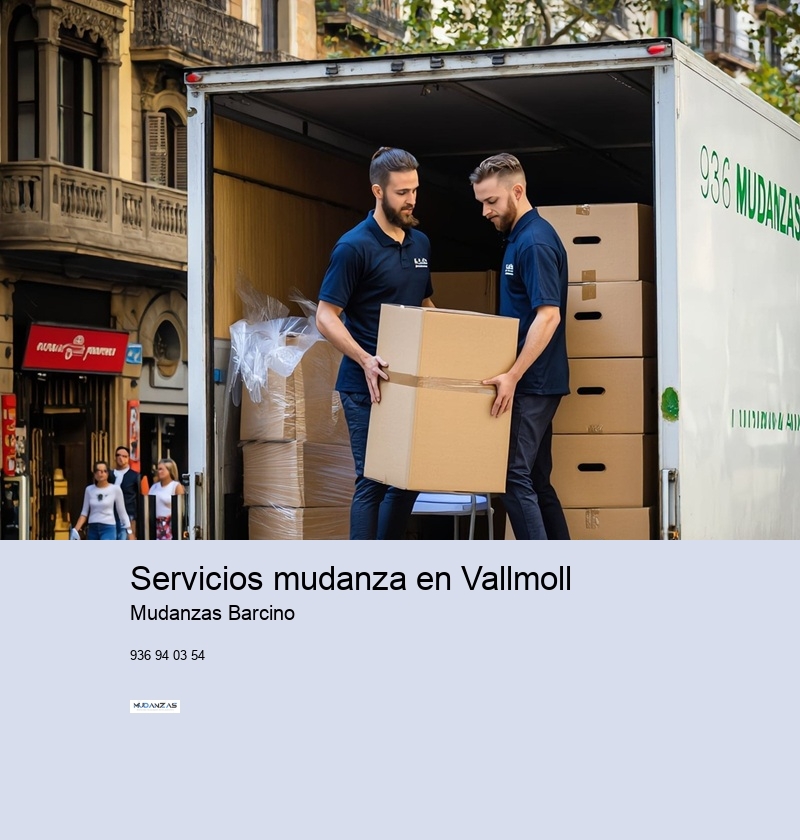 Servicios mudanza en Vallmoll 